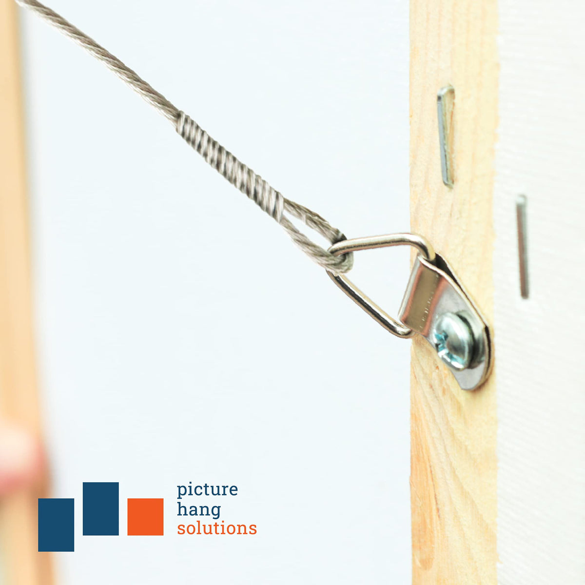 PHS 100 Pack D-Ring Picture Hangers with Screws - Small Triangle Frame Hangers for Picture Hanging - Mirror Hanging Hardware Kit - D Rings for Lightweight Frames and Paintings