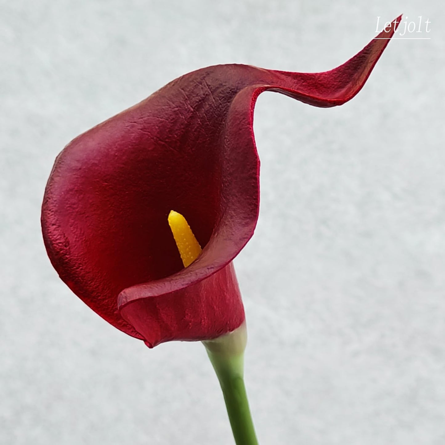 Letjolt Artificial Calla Lily Red Flowers 12Pcs for Wedding Bouquet Home Decoration Faux Calla Lilies Flower, Dark Red
