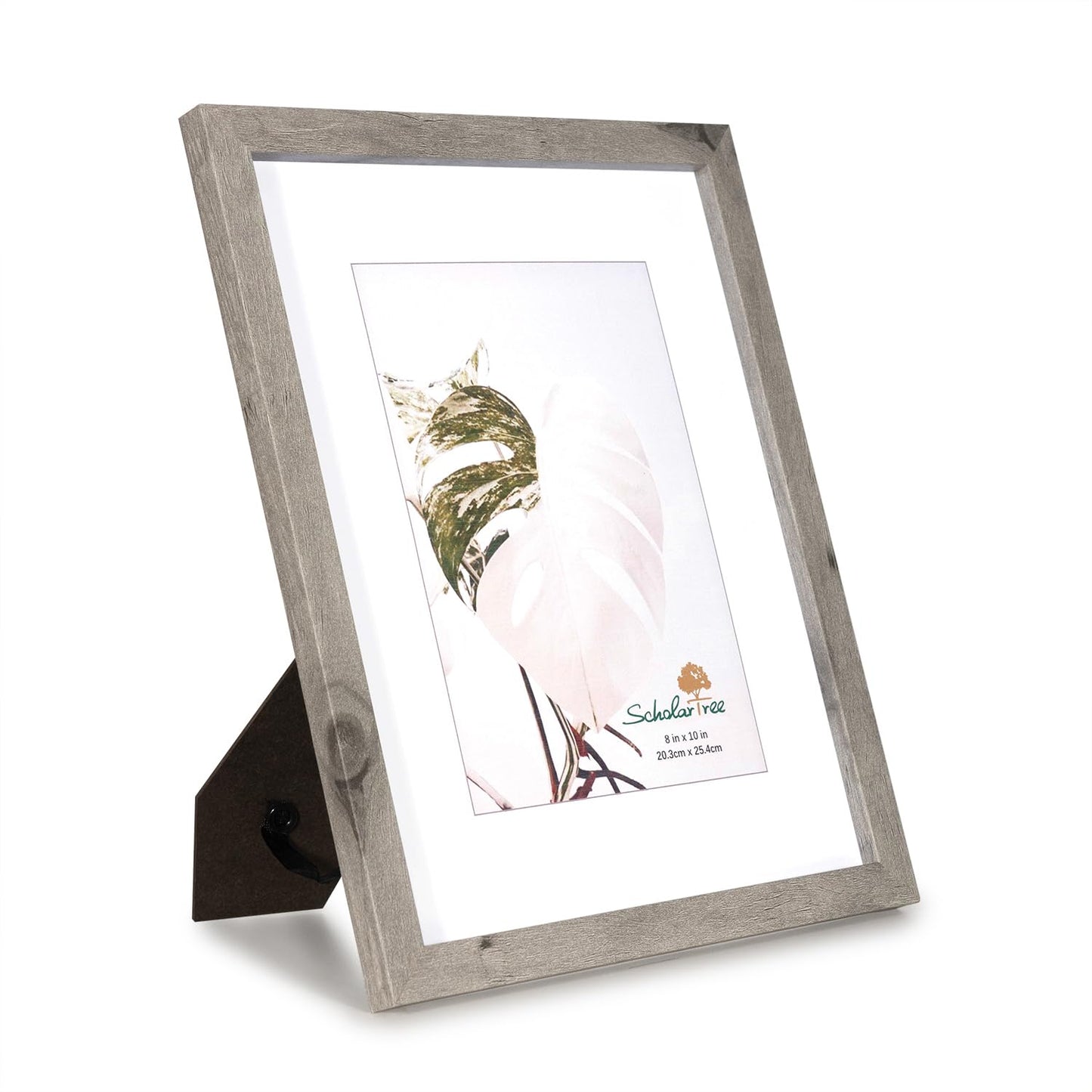 Grey 8x10 Picture Frame set of 4, Display 8x10 without Mat Wall Gallery Photo Frames