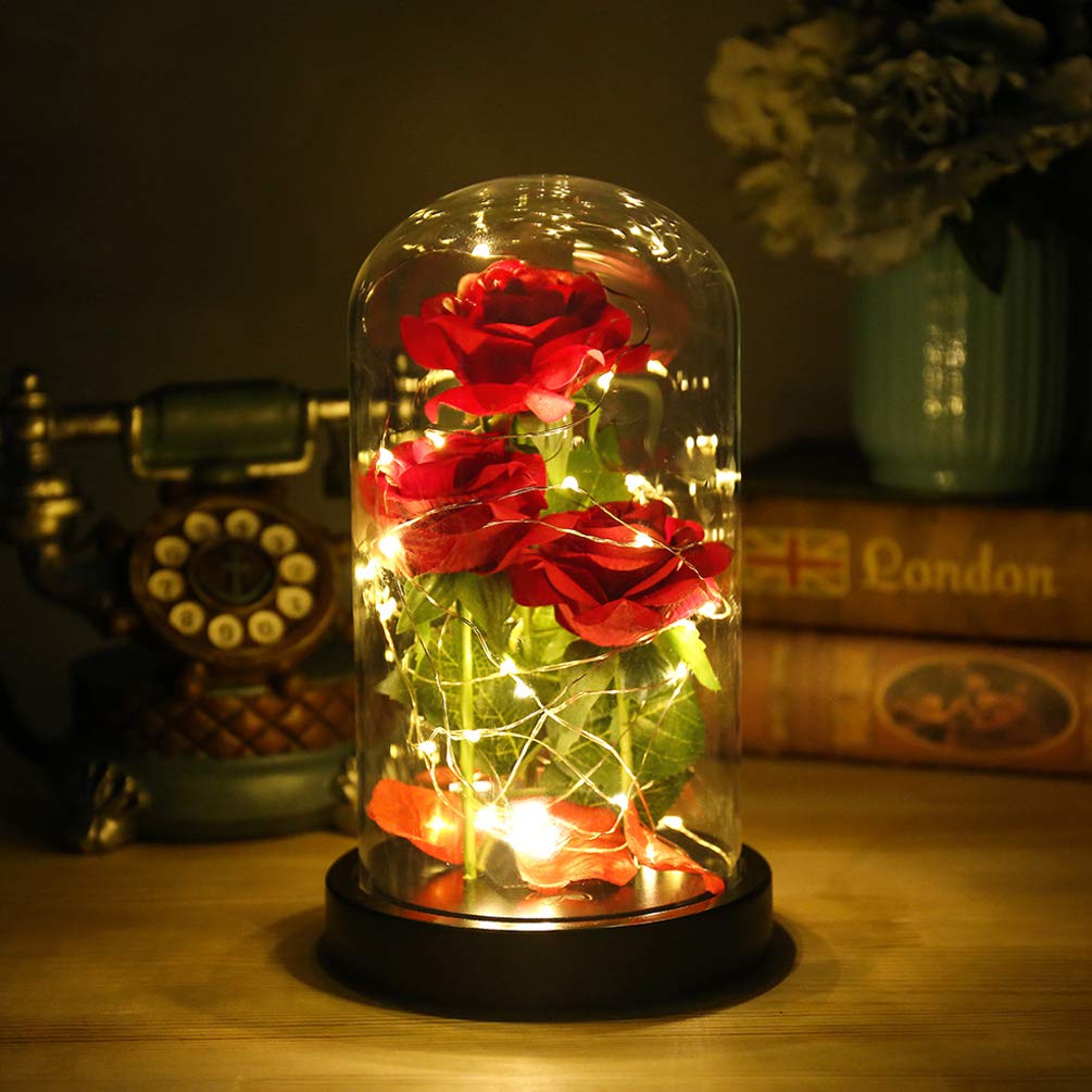 Mothers Day Mom Gifts for Mom,Beauty and The Beast Rose Light Up in Glass Dome,Preserved Flowers Prime Delivery Flowers Gifts,Birthday Gifts for Women Girlfriend Wife Anniversary,Valentines,Wedding