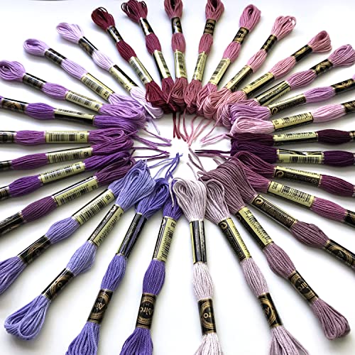 levylisa Embroidery Floss 30 Skeins Cross Stitch Threads Friendship Bracelets Floss with 10 Pcs Floss Bobbins and 2 Pcs Needle Threader (Purple)