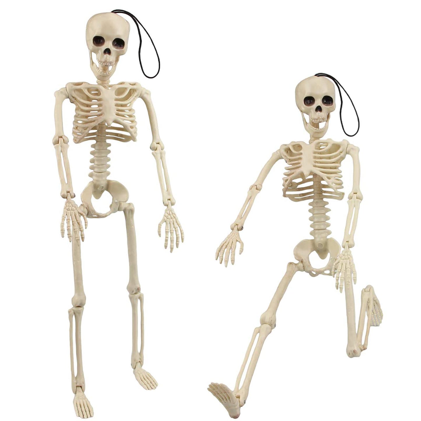 MEMOVAN 16" Halloween Skeleton 2pcs Full Body Posable Halloween Skeletons with Movable Joints Realistic Spooky Skeletons for Haunted House Graveyard Props Halloween Party Decorations