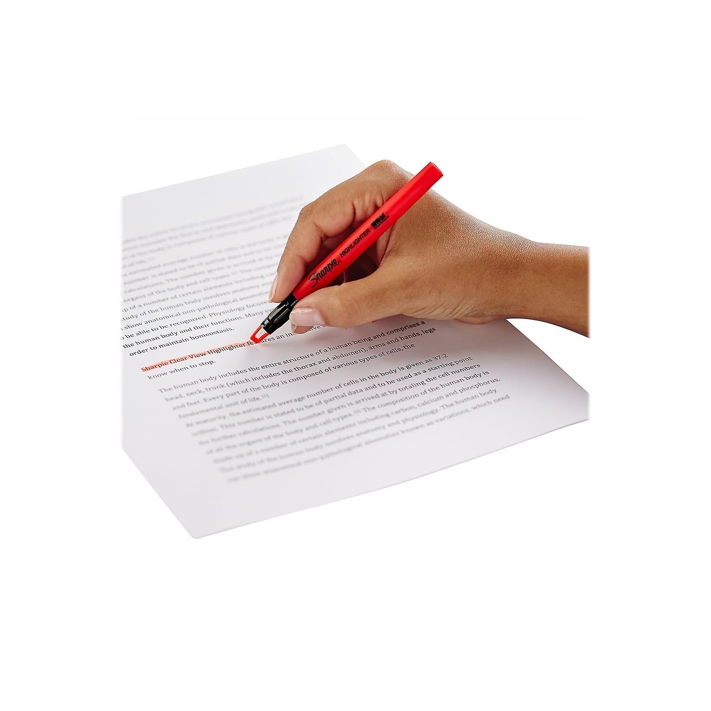 Sharpie Clear View Highlighter Sticks, Chisel Tip, Assorted Fluorescent, 8 Count - School, Home, and Office Use, Teacher Supplies