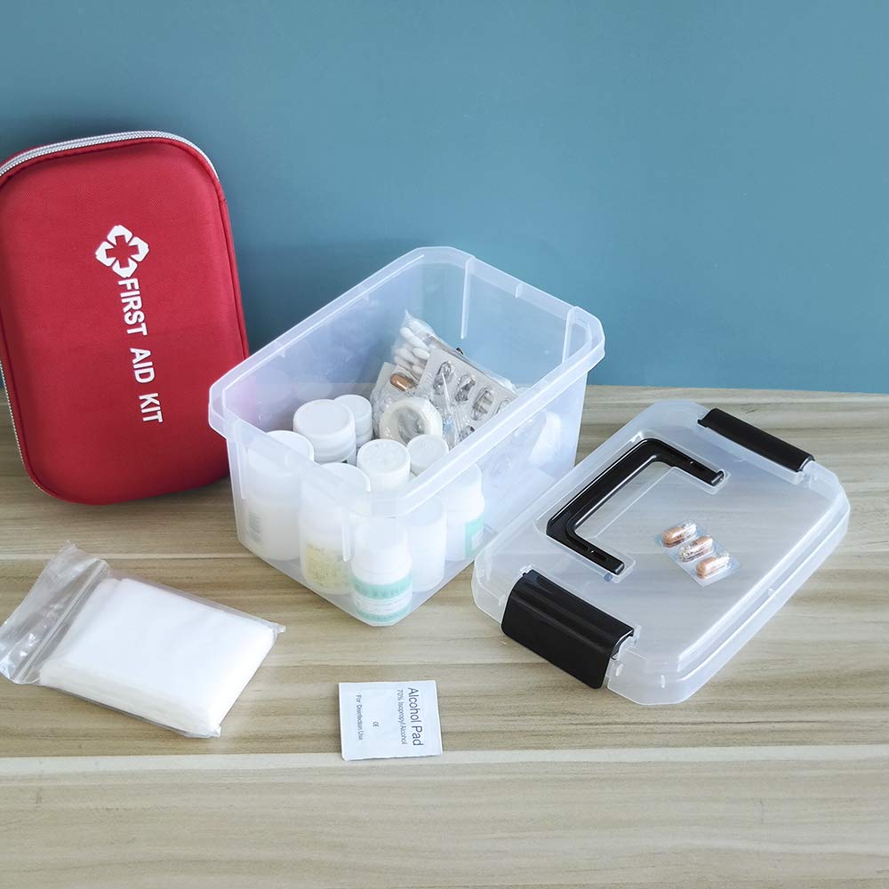 Nicesh 2 L Clear Mini Plastic Storage Box, Tiny Clear Storage Bin, 4-Pack