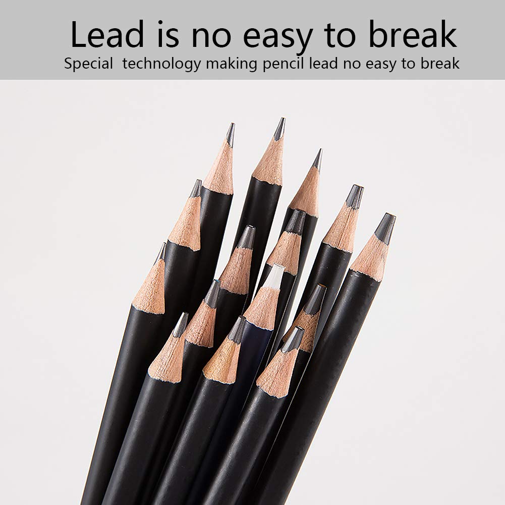 NYONI Sketching Pencils Set, Metal Box Packaging, Including Graphite Pencils、Charcoal Pencils、Blending Stumps and other tools for drawing (A set with 29pieces).