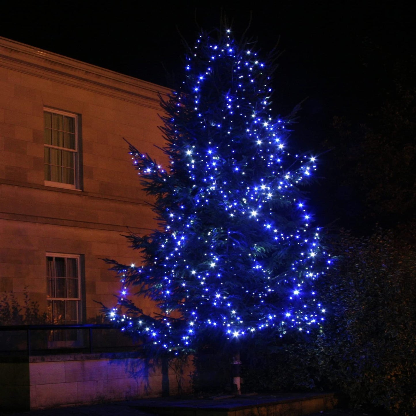 500 LED Christmas Lights, 164FT 8 Twinkle Modes Plug in Waterproof Extra Long Fairy Lights for Outdoor Christmas Tree Lights Party Garden Decorations (Blue and White)