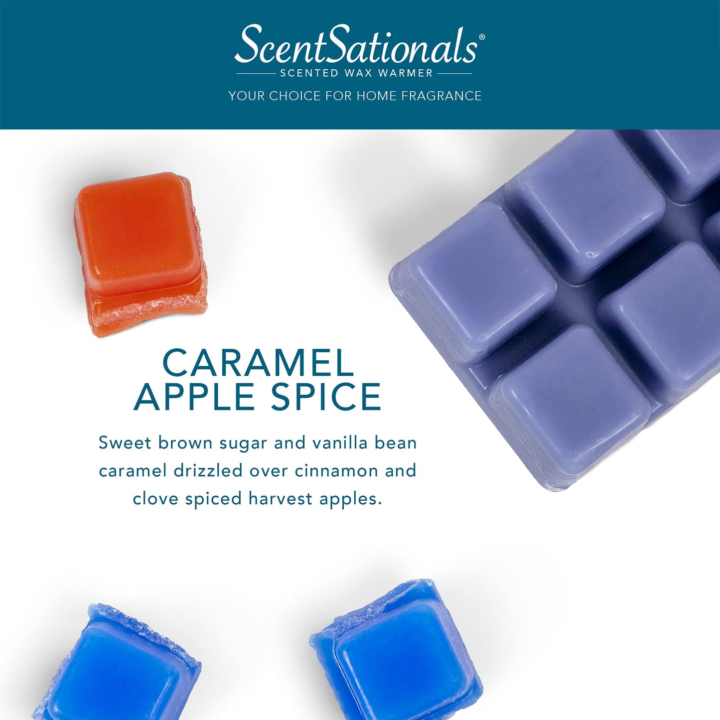 Scentsationals Scented Wax Fragrance Melts - Holiday Collection - Wax Cubes Pack, Home Warmer Tart, Electric Wickless Candle Bar Air Freshener - 2.5 oz (4-Pack)(Caramel Apple Spice)