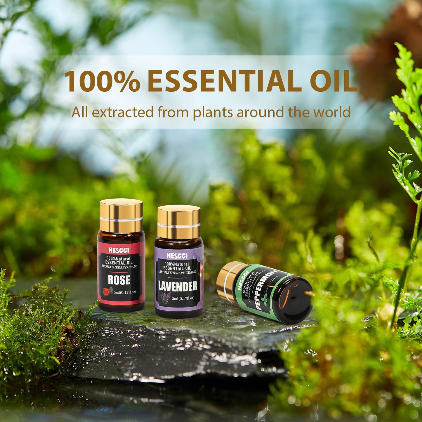 Essential Oil Gift Set, for Diffuser, Humidifiers, Essential Oil Set for DIY Candle and Soap Making, Halloween, Christmas