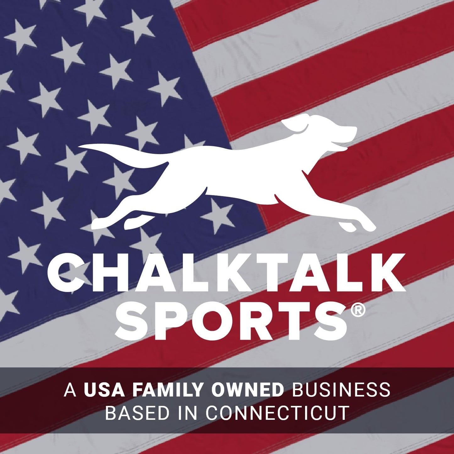 Holiday Woven Knee-High Socks - Thanksgiving Goofy Turkey With Stripes - Large