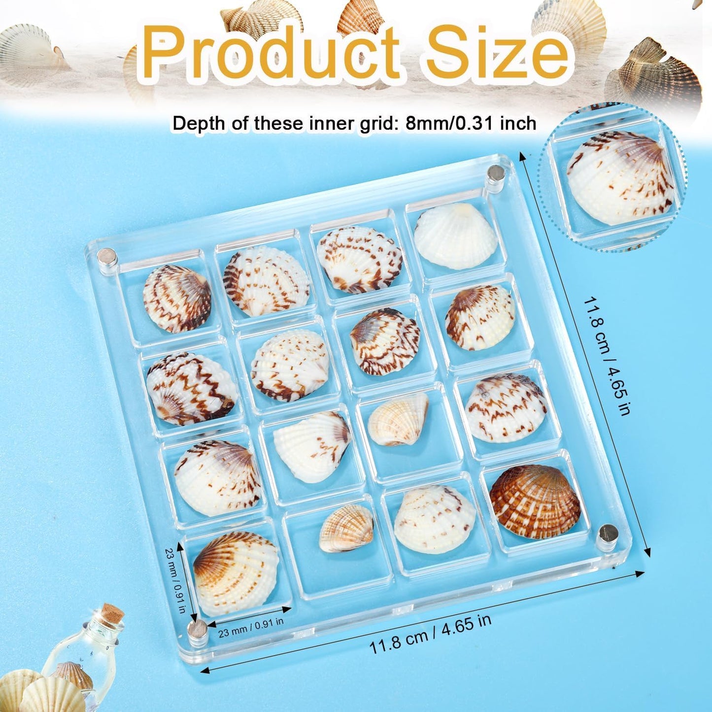 Artlunar 16 Grids Square Clear Acrylic Shadow Boxes Mini Seashell Collection Display Box Shell Display Cases