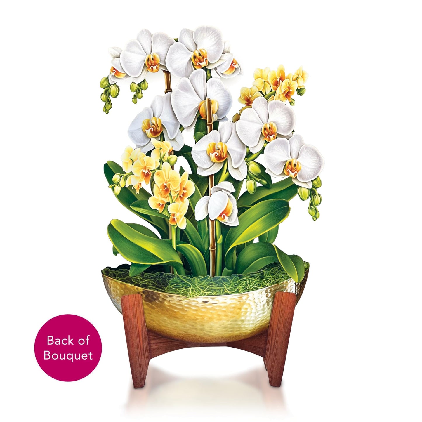 Freshcut Paper Pop Up Cards, Serenity Orchid, 12 Inch Life Sized Forever Flower Bouquet 3D Popup Greeting Card, Birthday Cards, Get Well Gifts, Blank Notecard & Envelope