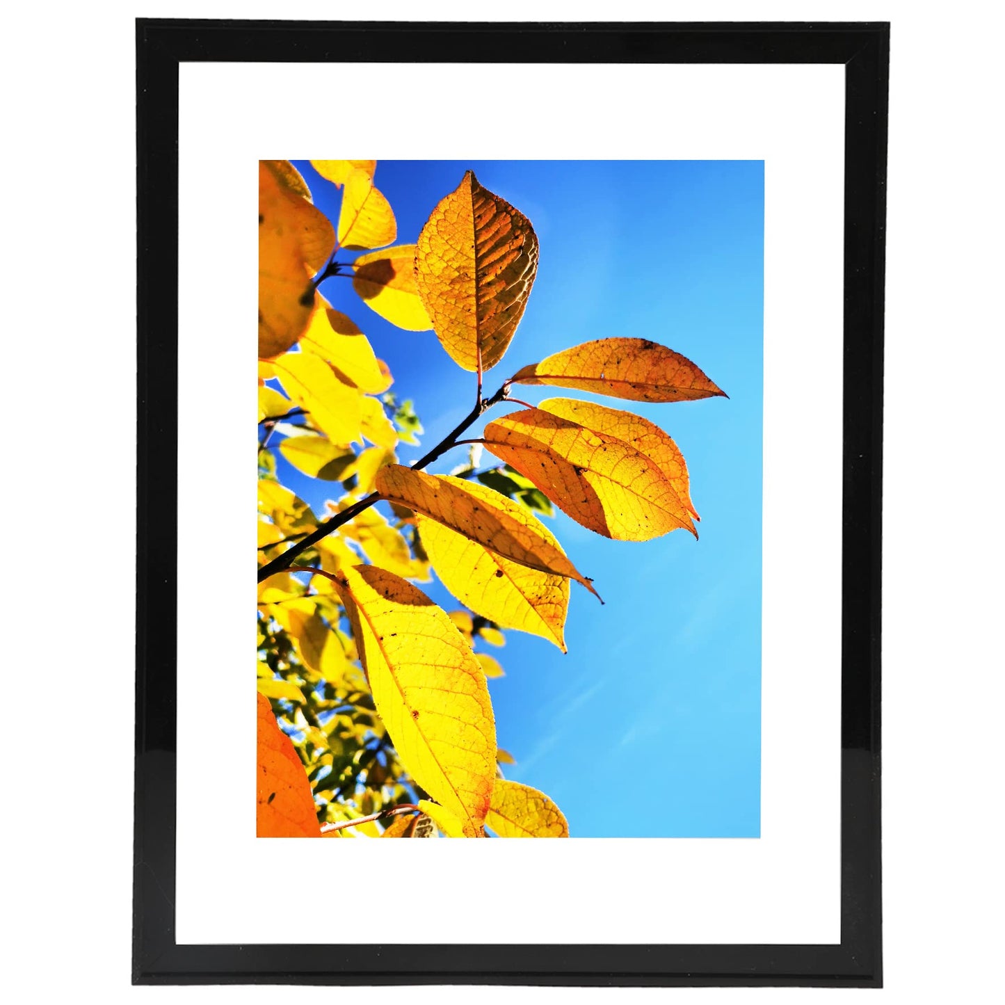 Aynoo 8.5x11 Picture Frame Black Set of 3 Pack 8.5x11 Picture Frames Display Pictures 6x8 8.5x11 Wall Mounting Thin Border Photo Frame for Wall,Black, 3Pack