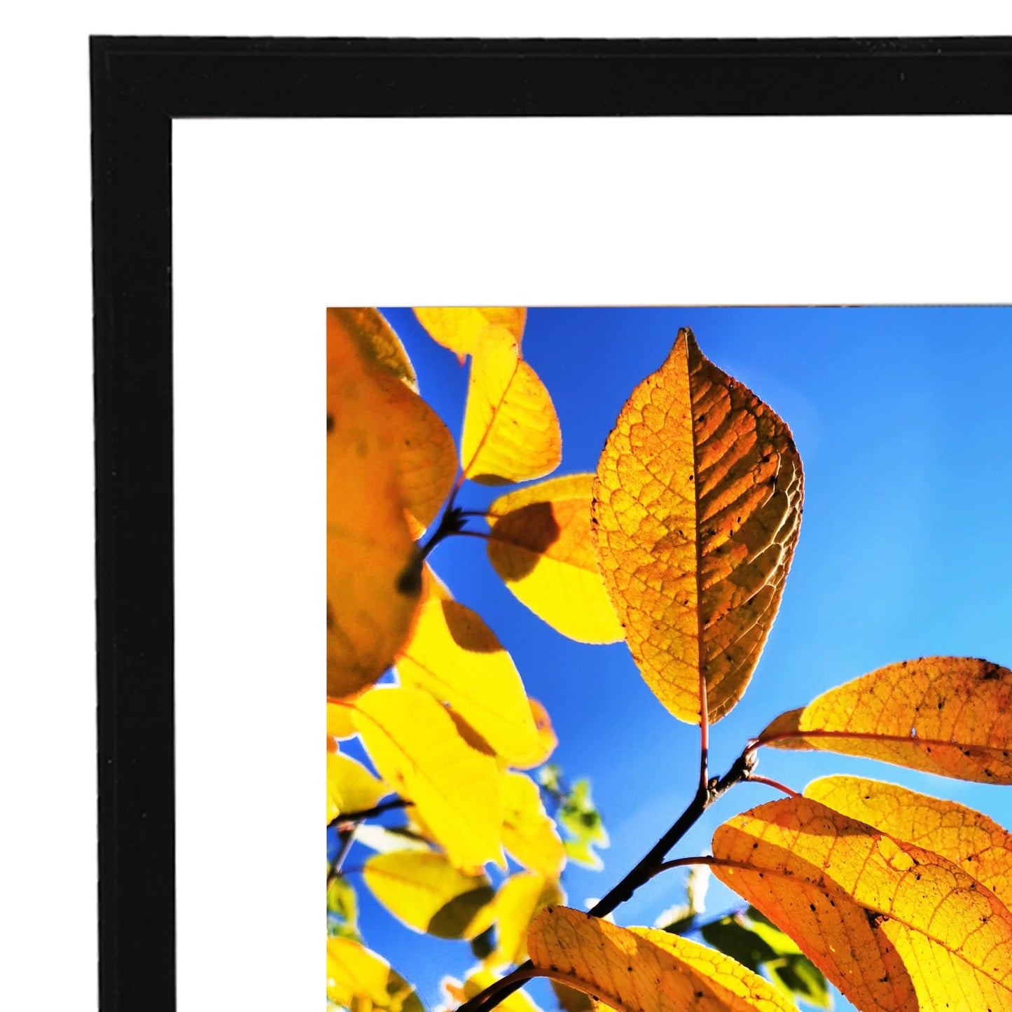 Aynoo 8.5x11 Picture Frame Black Set of 3 Pack 8.5x11 Picture Frames Display Pictures 6x8 8.5x11 Wall Mounting Thin Border Photo Frame for Wall,Black, 3Pack