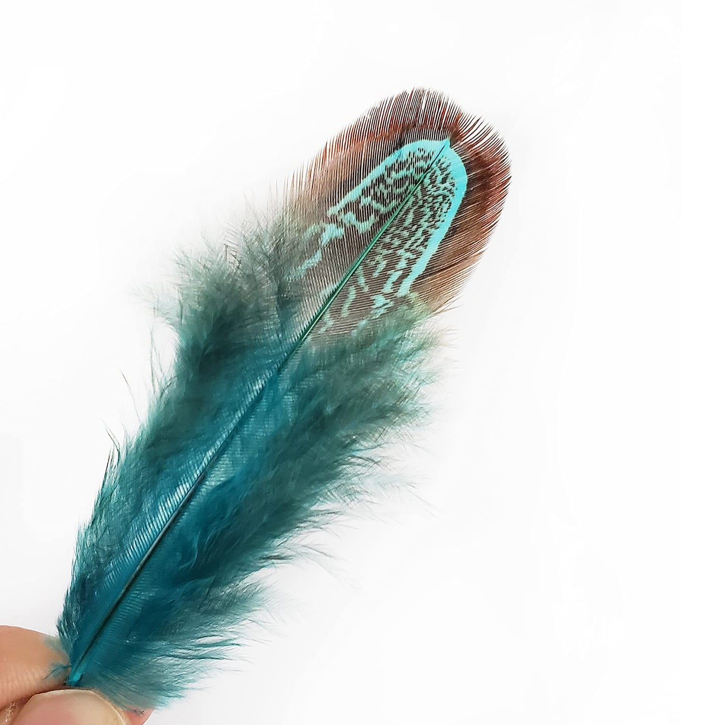 50 pcs Natural Pheasant Plumage Feathers 2-3 Inches Plumage Feathers for Sewing Crafts Clothing Decorating Accessories -Blue