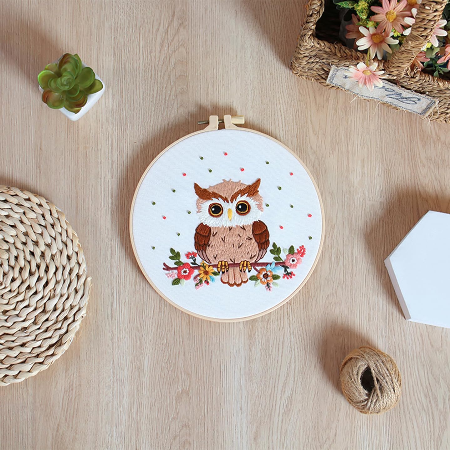 Louise Maelys Owl Embroidery Kits for Beginners with Floral Pattern,Adults Starter Cross Stitch Kit DIY Needlepoint