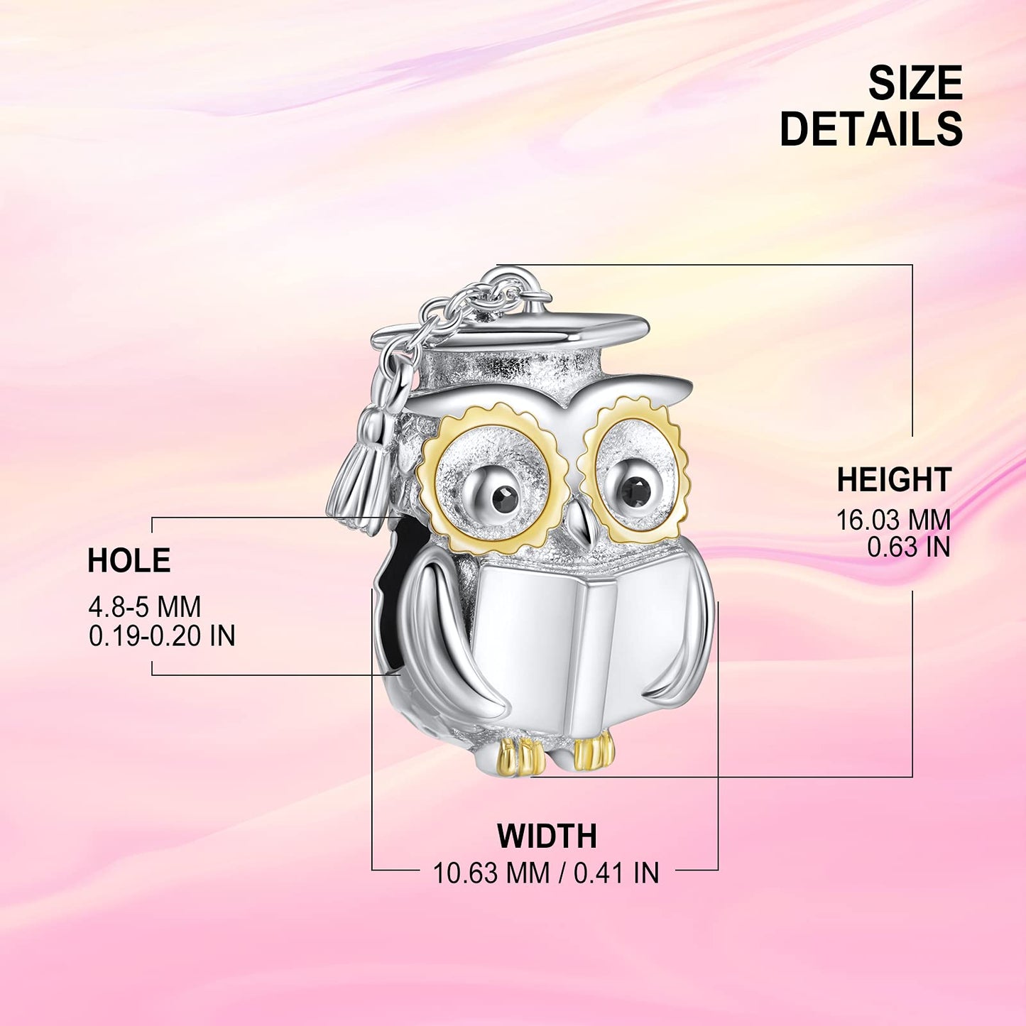 NINGAN Owl Doctor Hat Charm for Bracelet 925 Sterling Silver Bead Charms with Cubic Birthday Anniversary Jewelry Gift Graduation Jewelry Gifts