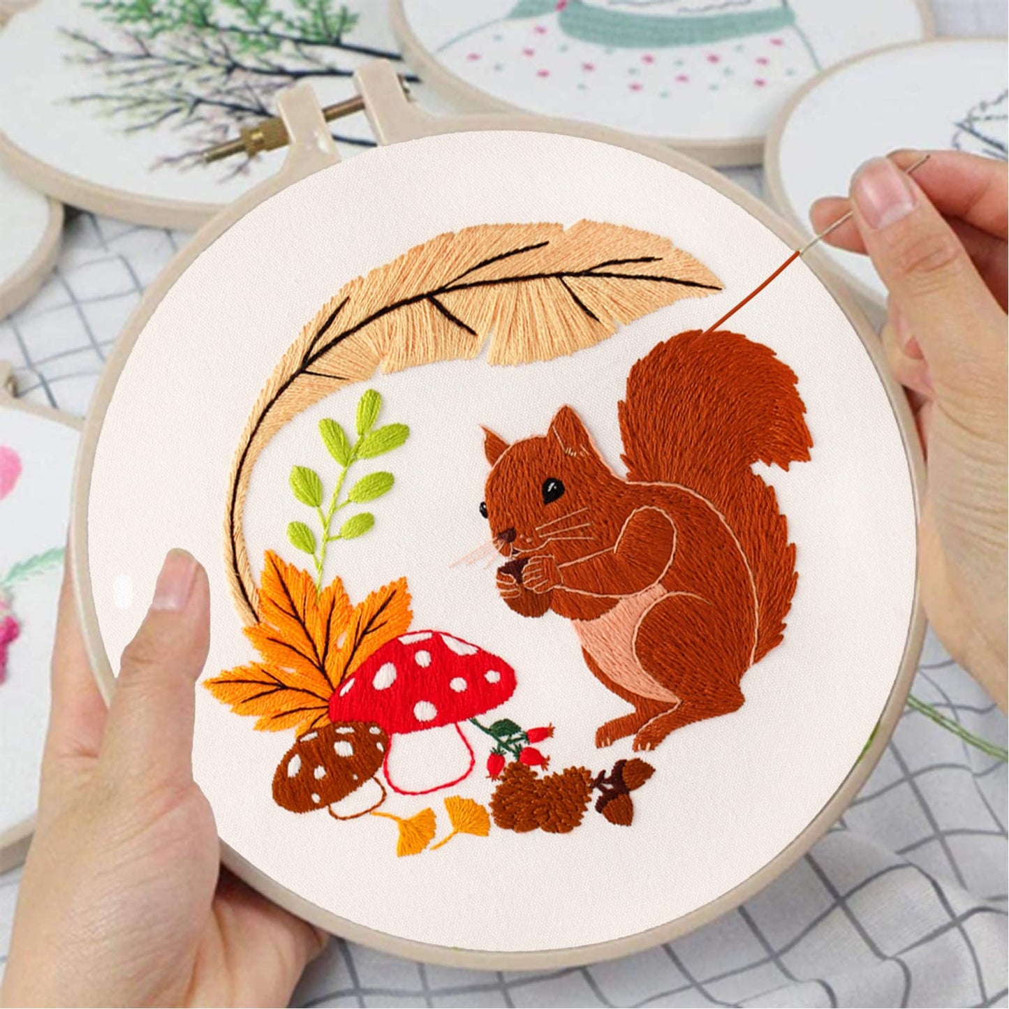 Louise Maelys Animal Embroidery Kits for Beginners with Autumn Squirrel Pattern,Adults Starter Cross Stitch Kit DIY Needlepoint