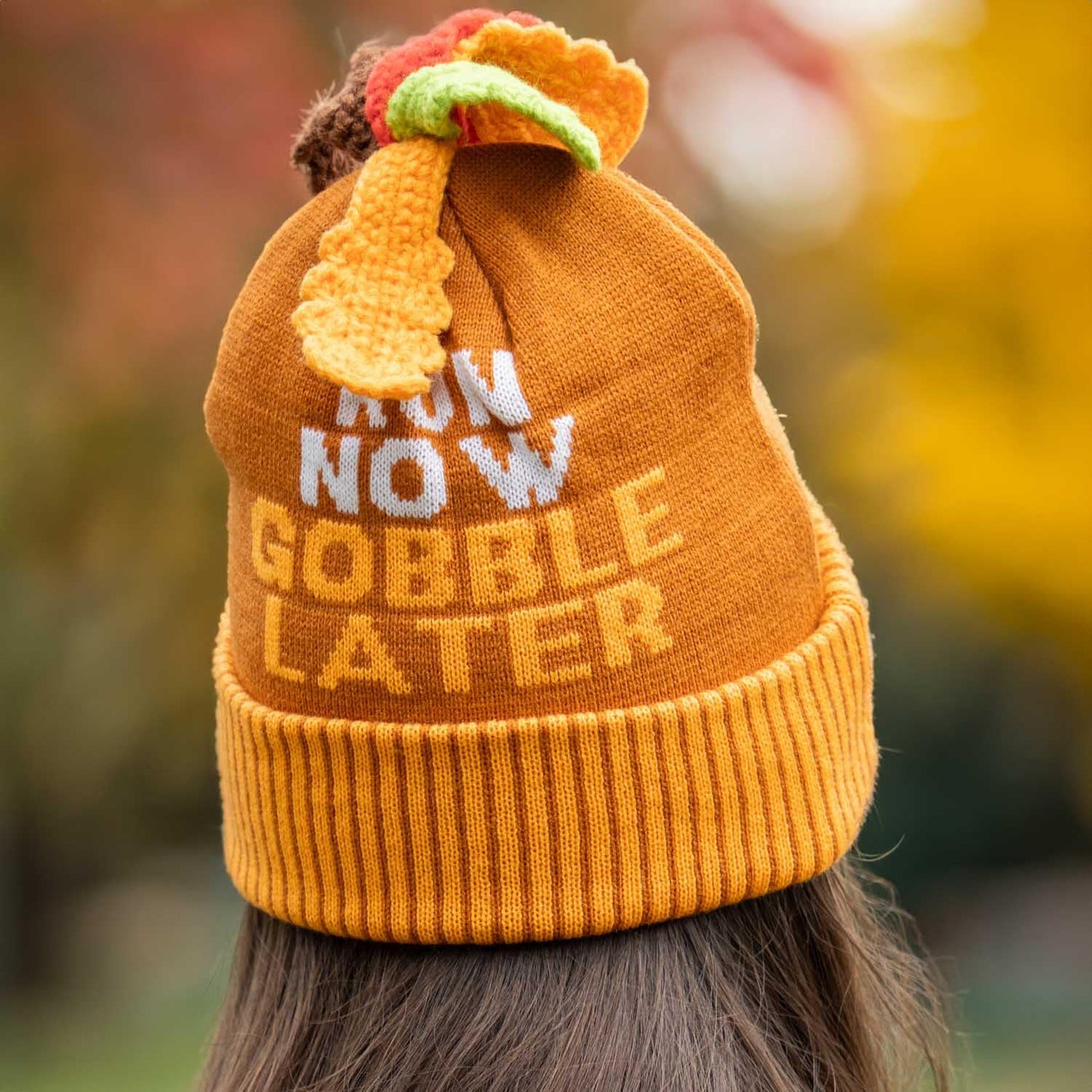 Now Gobble Later Turkey Pom Pom Beanie Hat | Thanksgiving Turkey Trot Gear