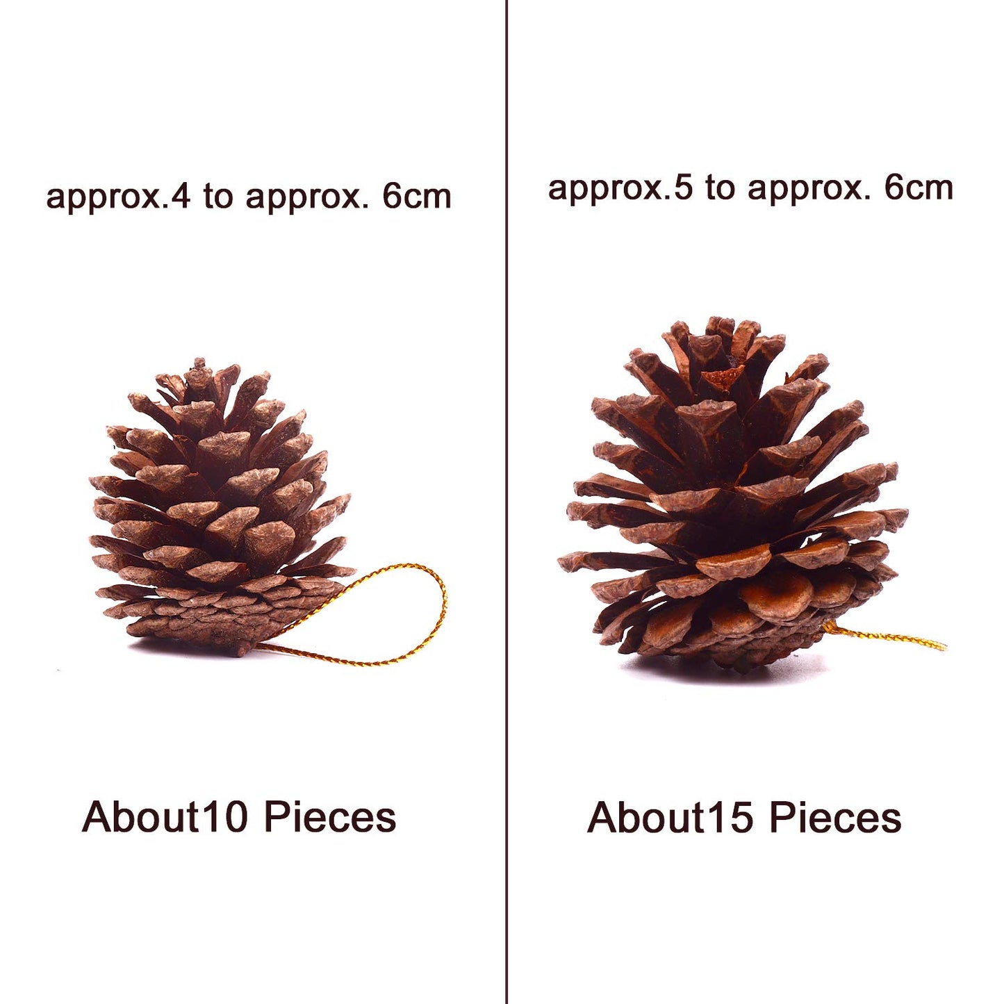 25 Pcs 1.6-2.4 Inches Christmas Pine Cones Decoration with String, Natural Rustic Pinecones Bulk Ornaments for Crafting for Home Accent Decor, Fall Thanksgiving Tree Decoration