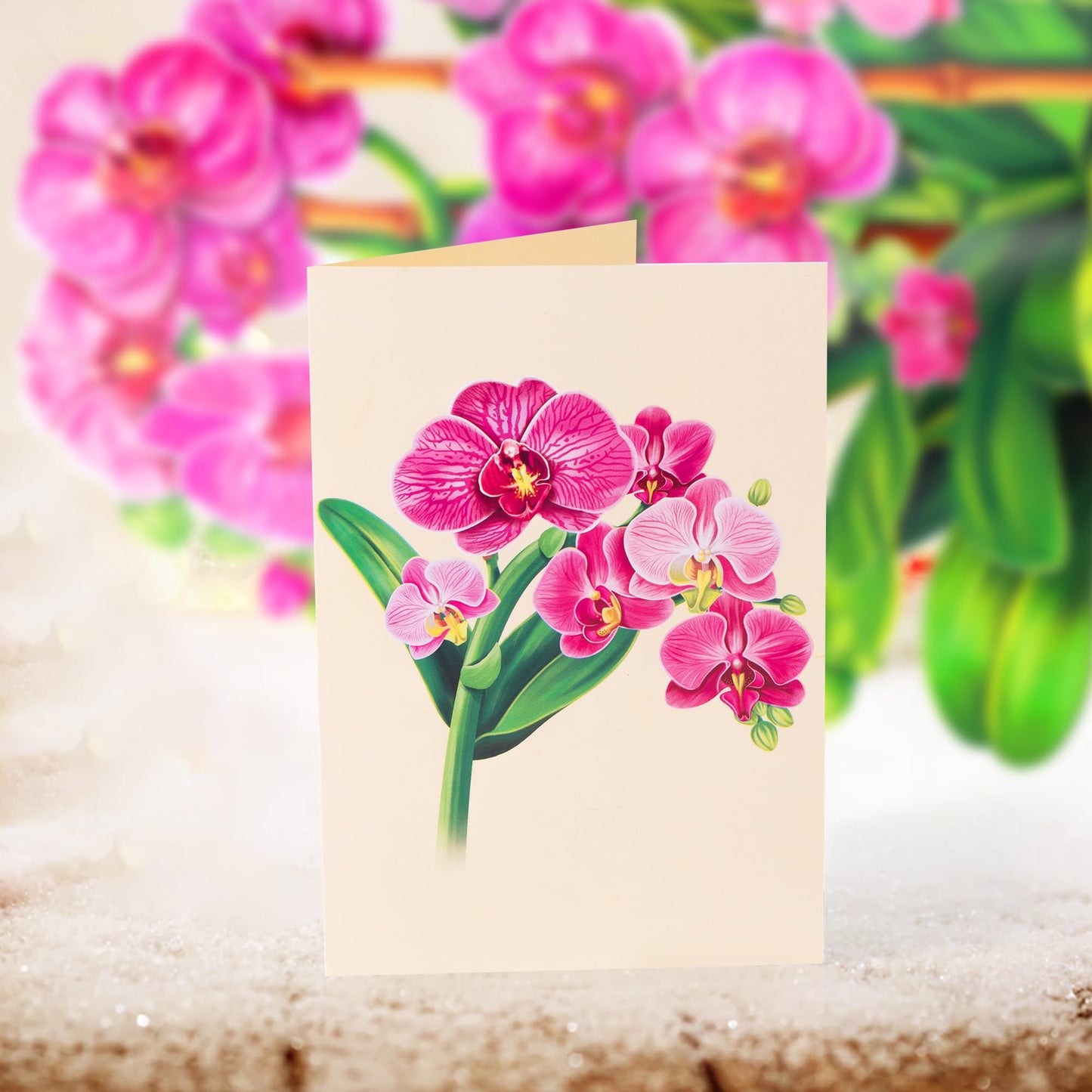 Airpark Mothers Day Gifts Pop Up Flower Card, 3D Orchid Bouquet Mothers Day Cards for Mom Women, Birthday, Thank You, Teacher Appreciation Gifts, Floral Card with Envelope & Note
