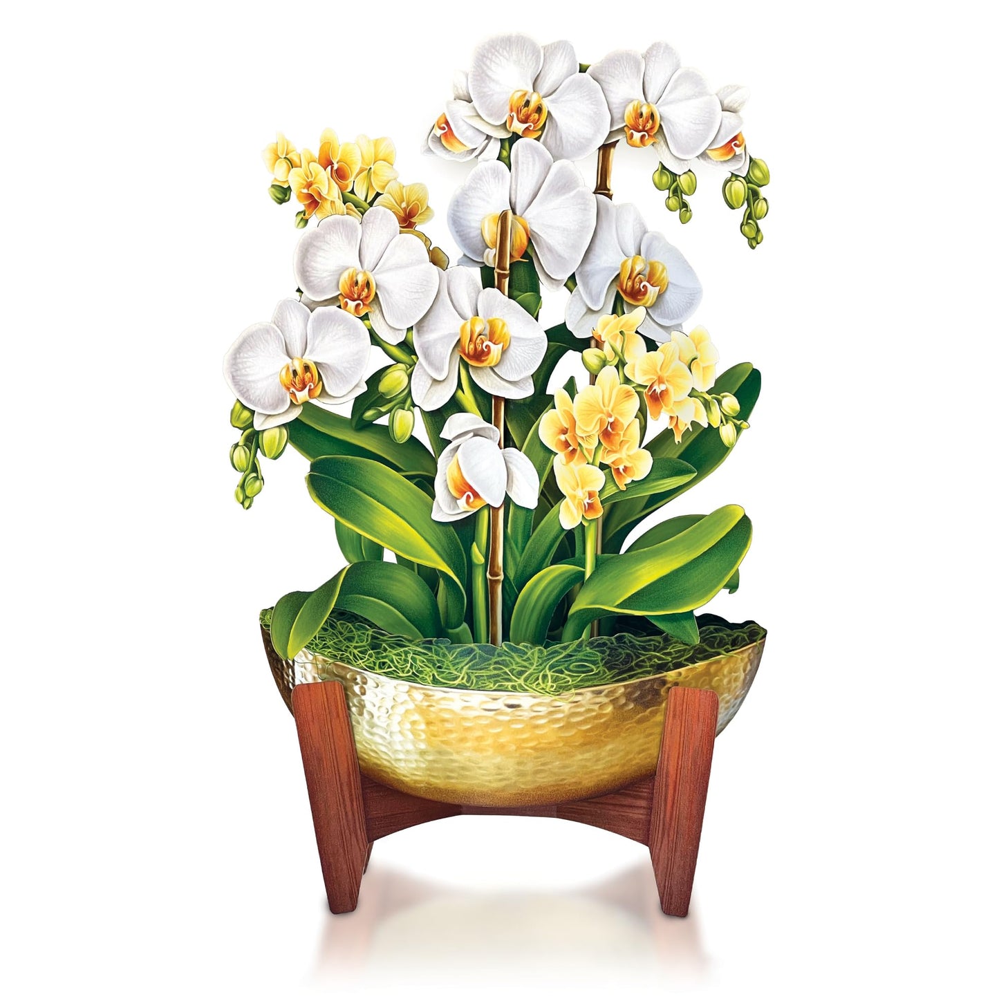 Freshcut Paper Pop Up Cards, Serenity Orchid, 12 Inch Life Sized Forever Flower Bouquet 3D Popup Greeting Card, Birthday Cards, Get Well Gifts, Blank Notecard & Envelope