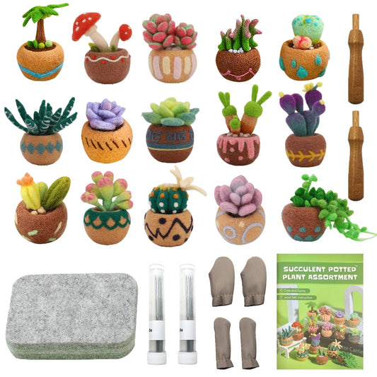 15pcs Succulent Needle Felting Kit for Beginners Adult - DIY Starter Kit with Wool Roving, Felting Mat, Needles, Instructions for Home Decoration Crafts