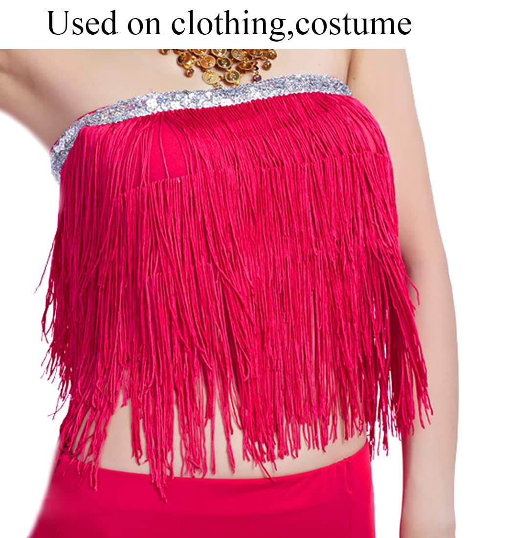 Lauthen.S 10 Yards of 6" Chainette Fringe Trim Tassel Sewing Trim for DIY Craft Latin Dress Lamp Shade Decoration (6 Inches x 10 Yards, Hot Pink)