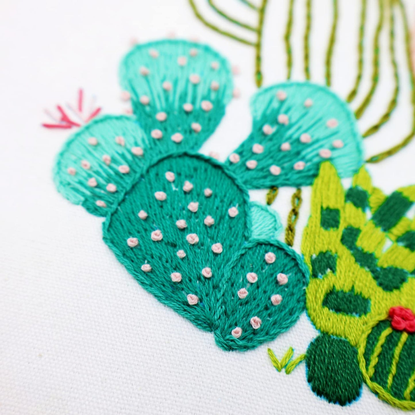 Embroidery Starter Kits for Adults Beginners with Stamped Pattern, Embroidery Floss + Needles + Hoop, Cactus Series, 3 Pack