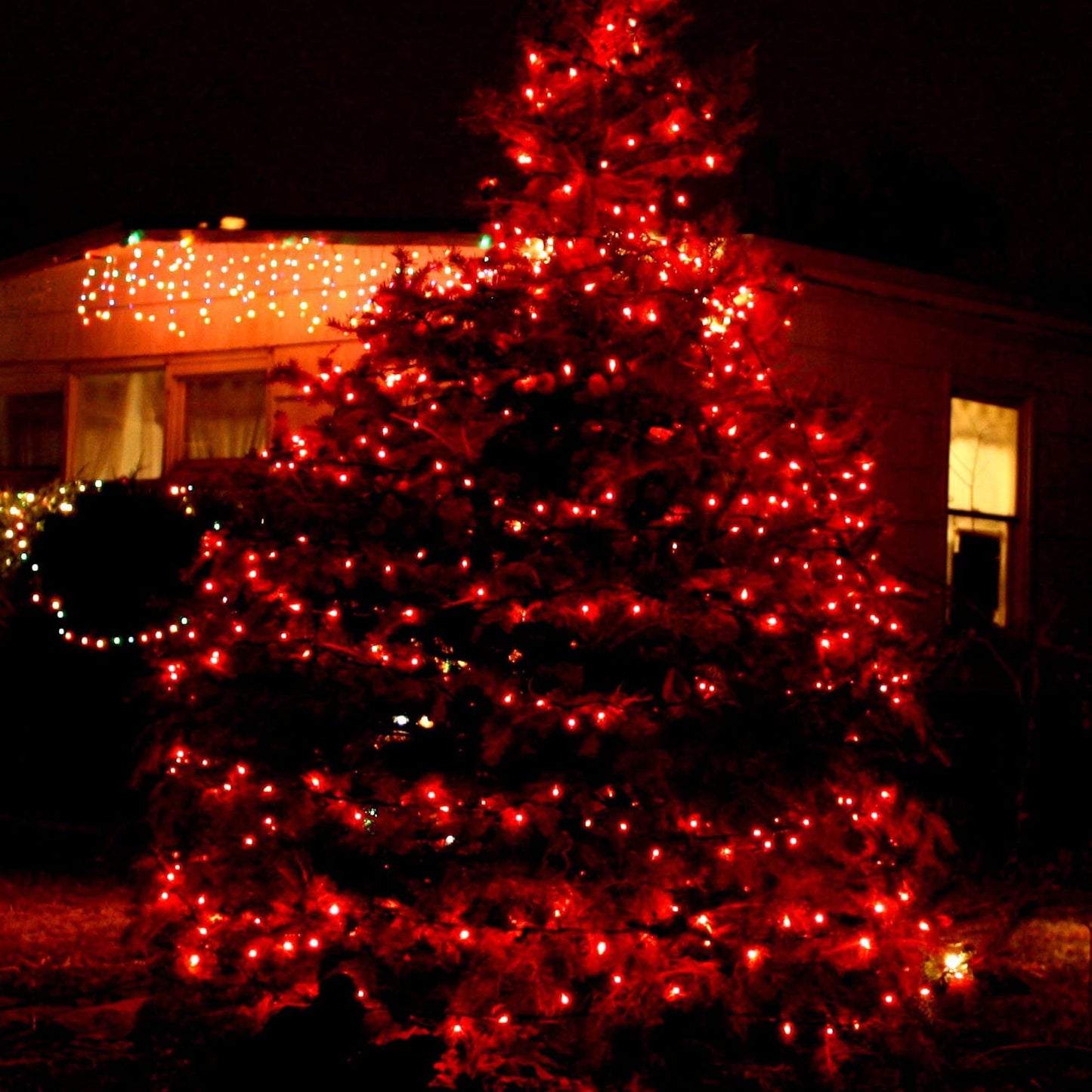 Red Christmas Lights, 20FT 100 Count Incandescent Christmas Mini Tree String Lights, Waterproof Christmas Decorations for Outdoor Indoor Xmas Patio Home Party Garden Yard Decor