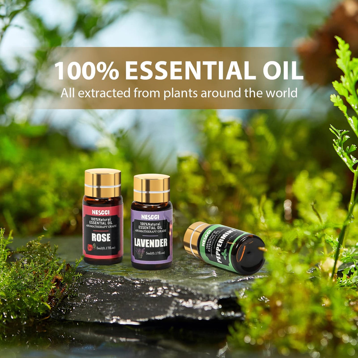 Essential Oil Set - Essential Oils 36 x 5ML - Essential Oils Gift Set for Diffuser, Humidifier, Soap, Candle, Bath Bombs Making, Halloween, Christmas