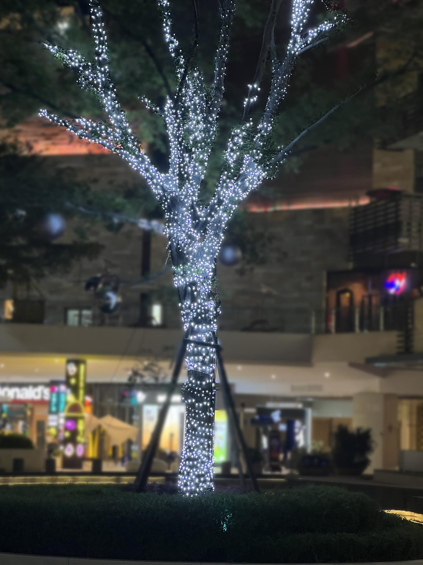 2 Pack Solar String Lights Outdoor, 200 LED Extra-Long 72FT Solar Powered Lights with 8 Lighting Modes, Waterproof Outdoor Lighting Decoration for Garden, Patio, Balcony, Xmas, Wedding, Party