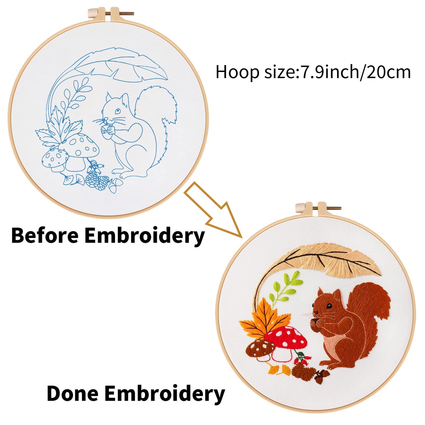 Louise Maelys Animal Embroidery Kits for Beginners with Autumn Squirrel Pattern,Adults Starter Cross Stitch Kit DIY Needlepoint