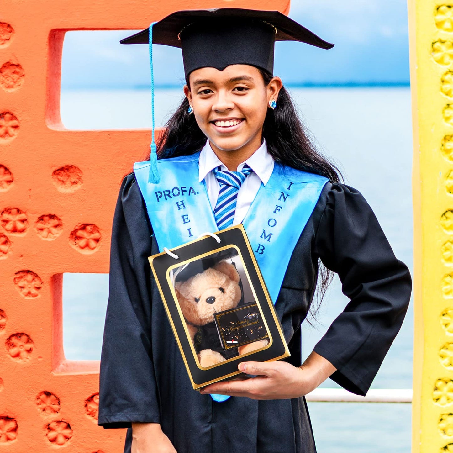 ZJoey Bear with Graduation Cap Toys Class of 2026 Plush Stuffed Teddy Bear Animal Dog Cap and Gown with Greeting Card and Bag for Graduation Day Gift(Black)
