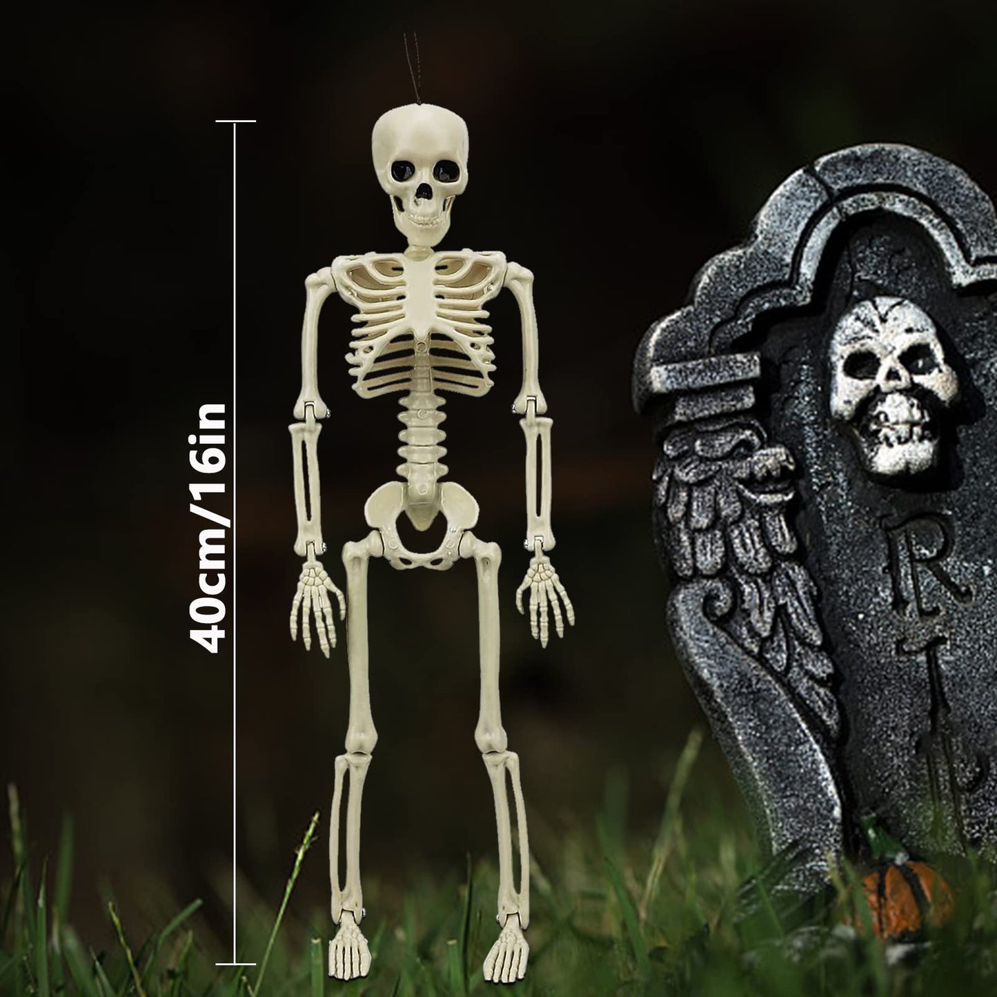MEMOVAN 16" Halloween Skeleton 2pcs Full Body Posable Halloween Skeletons with Movable Joints Realistic Spooky Skeletons for Haunted House Graveyard Props Halloween Party Decorations