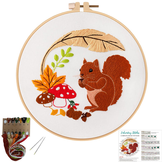 Louise Maelys Animal Embroidery Kits for Beginners with Autumn Squirrel Pattern,Adults Starter Cross Stitch Kit DIY Needlepoint