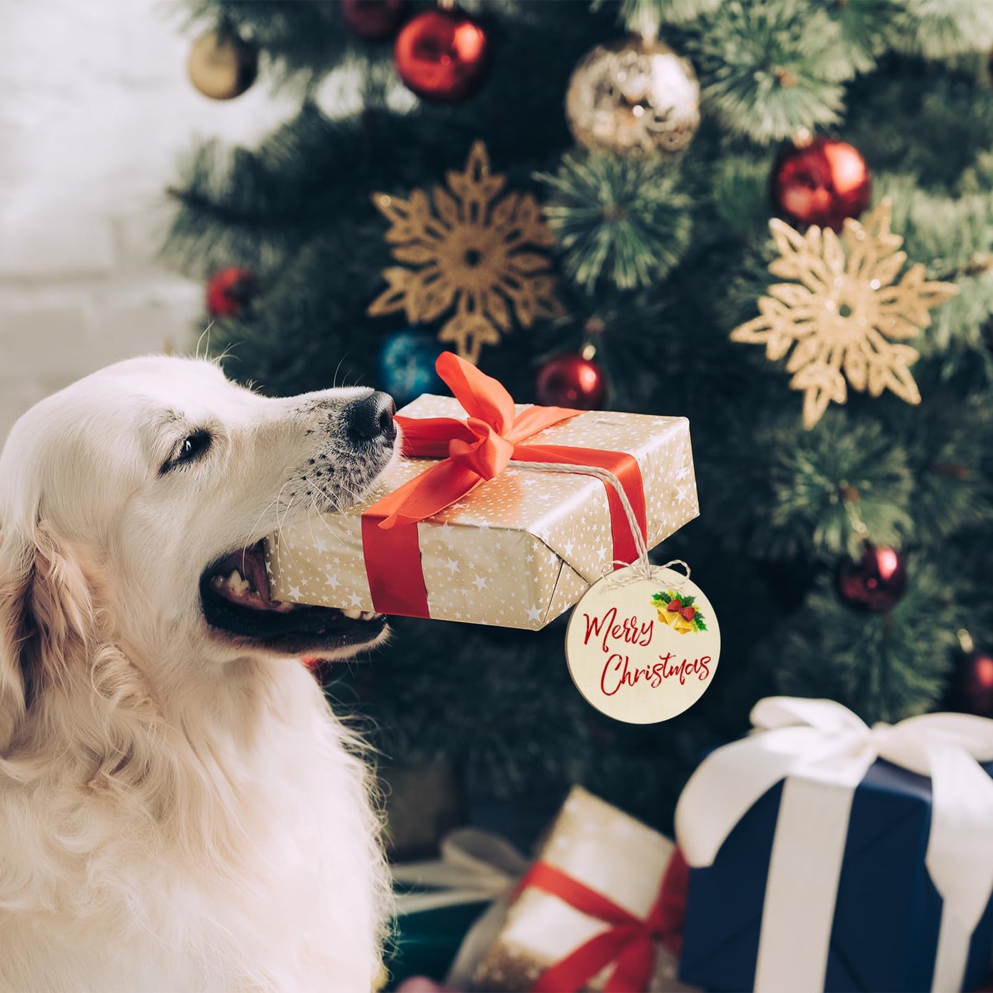 Wooden Christmas Ornaments to Paint Christmas Round Decoration Cutouts Unfinished 24PCS 3.5 x 3 inches, DIY Blank Unfinished Christmas Tree Wood Discs Ornament for Home Crafts Hanging