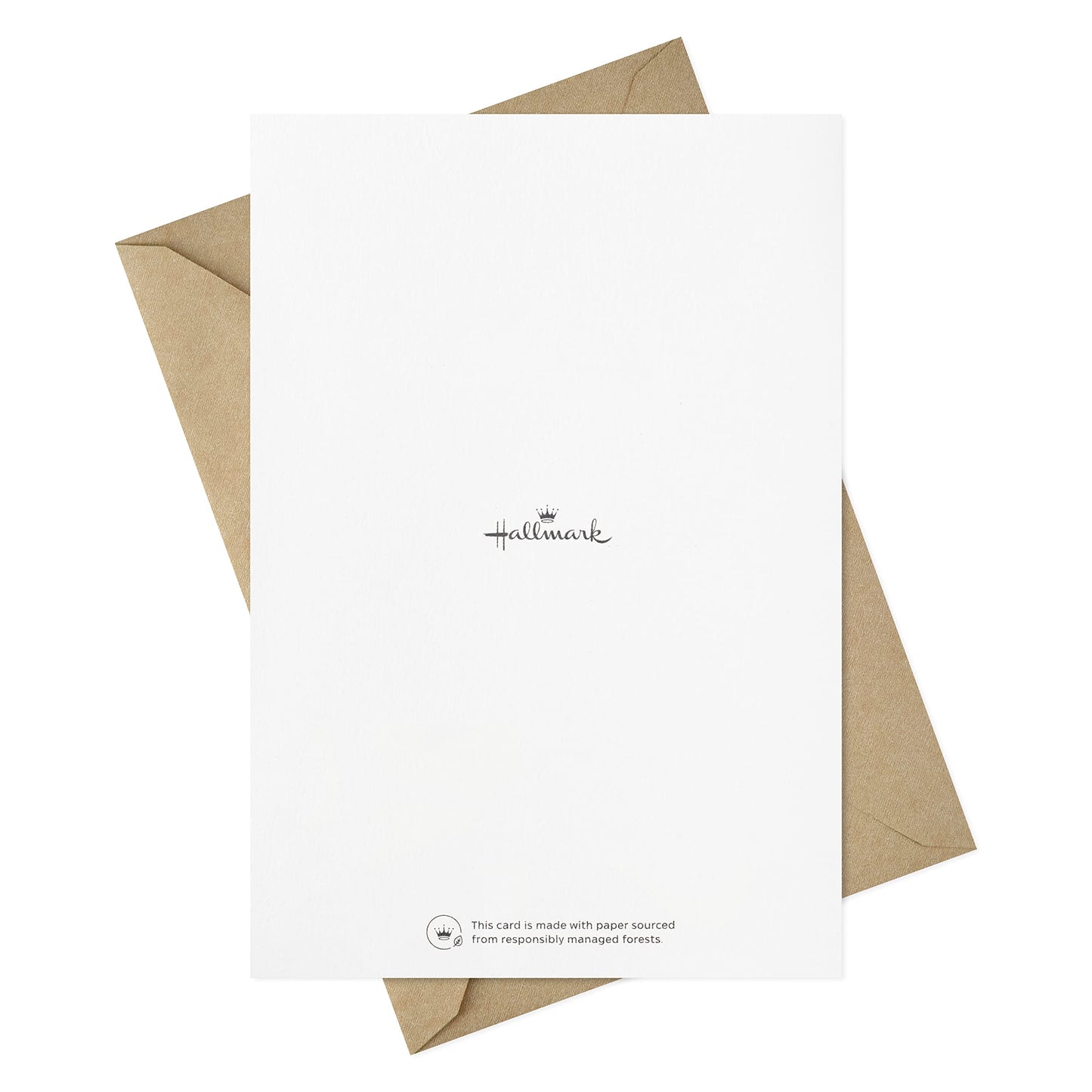 Sympathy Cards Assortment, Painted Palms (16 Assorted Thinking of You Cards with Envelopes)