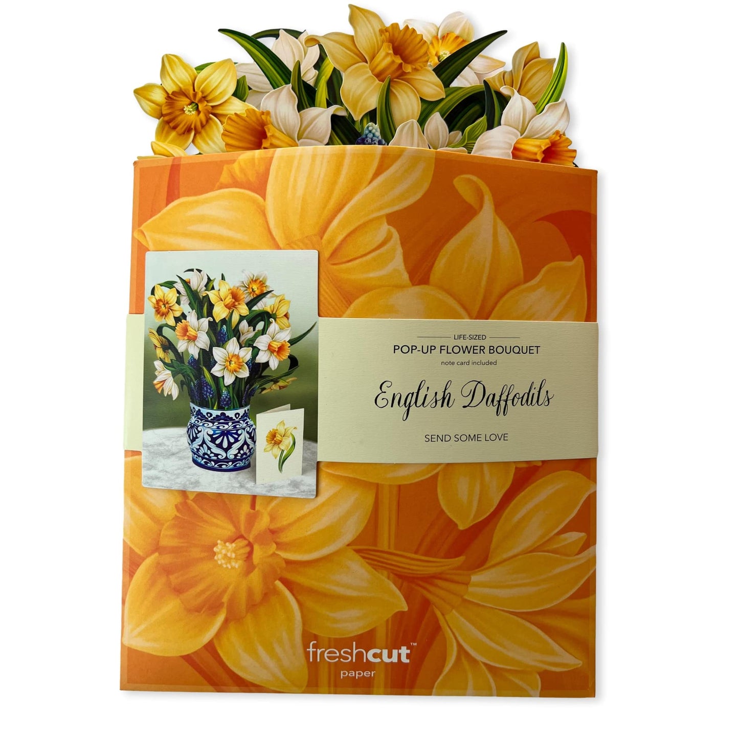 Freshcut Paper Pop Up Cards, English Daffodils, 12 Inch Life Sized Forever Flower Bouquet 3D Popup Greeting Card, Birthday Cards, Get Well Gifts, Blank Notecard & Envelope