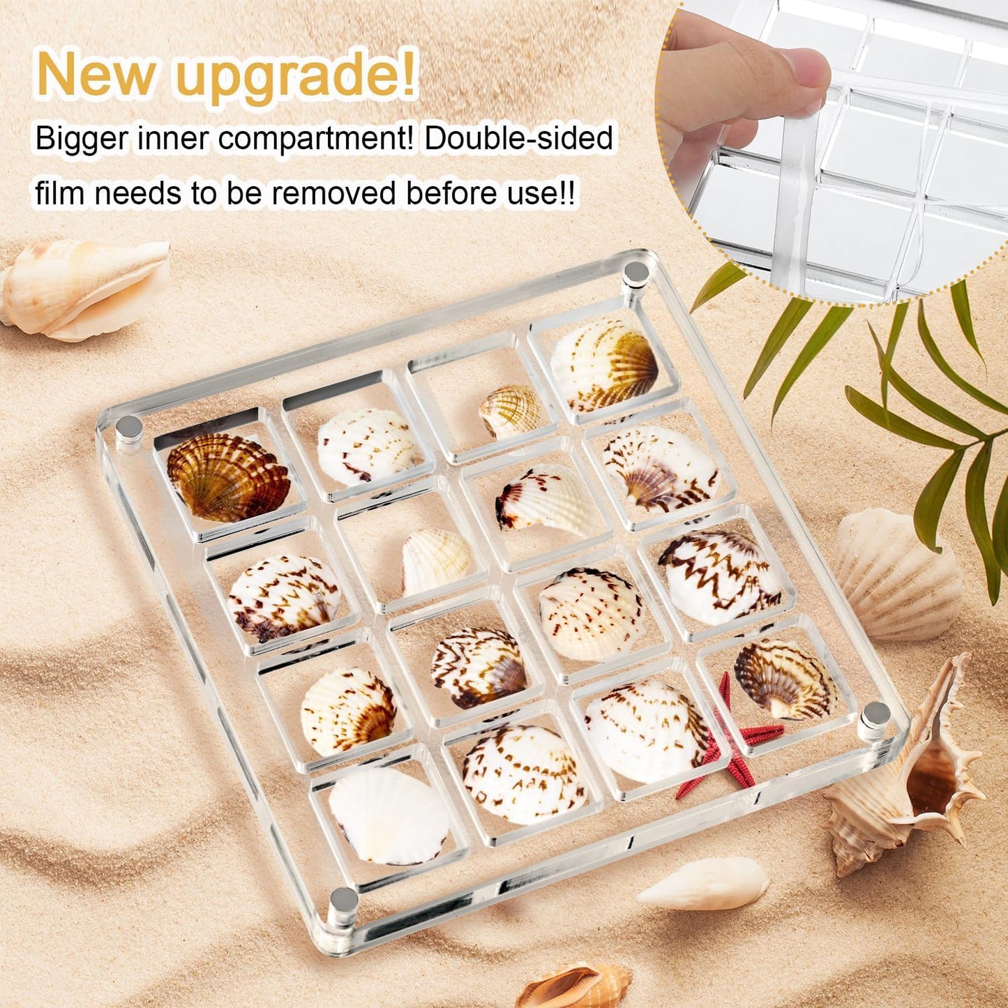 Artlunar 16 Grids Square Clear Acrylic Shadow Boxes Mini Seashell Collection Display Box Shell Display Cases