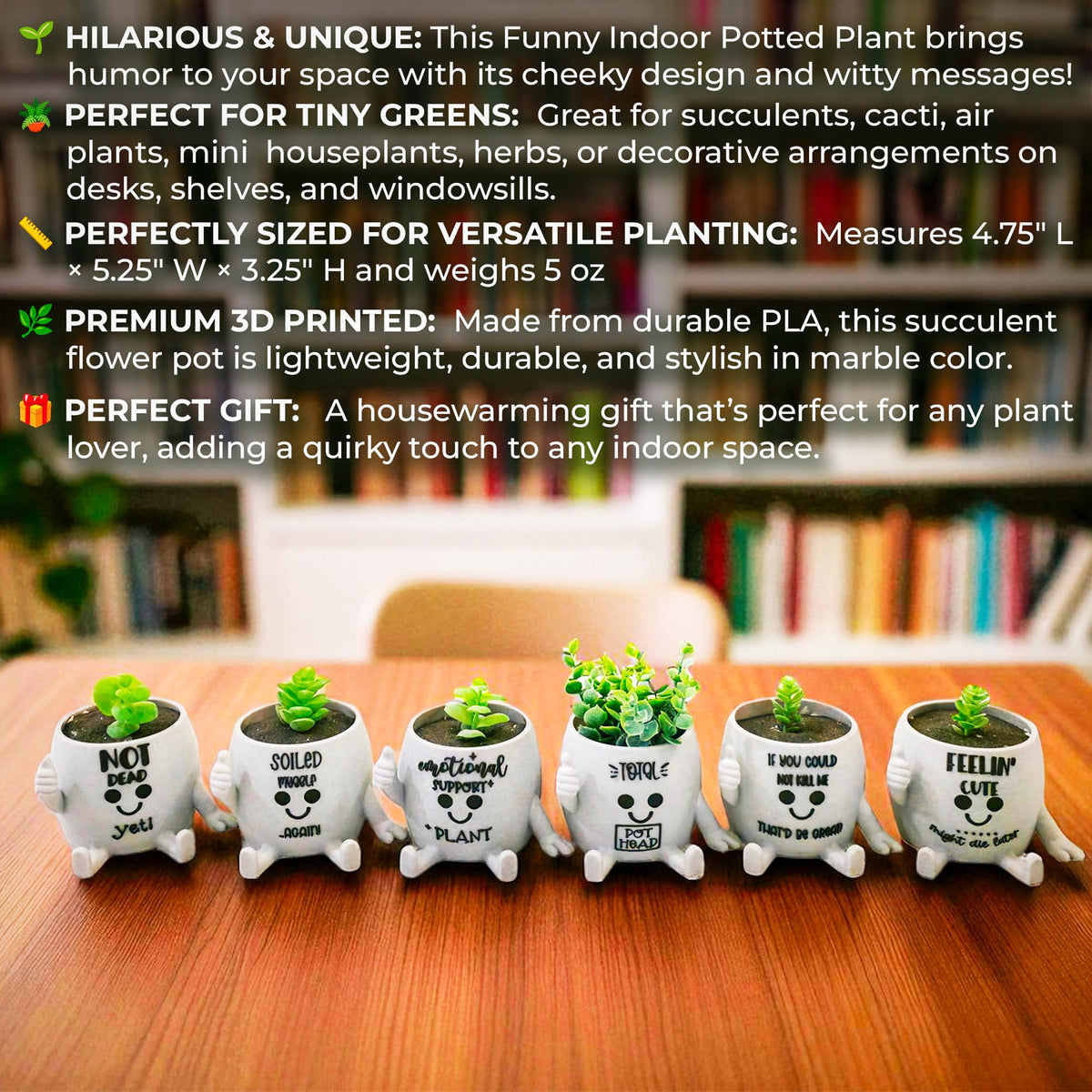 Funny Face Indoor Head Planter Pot, 3D Printed, Unique Small Succulent Flower Pot, Cute Cactus Planter, Indoor Home Decor, Office Desk Plant Pot, Novelty Gardening Gift Set
