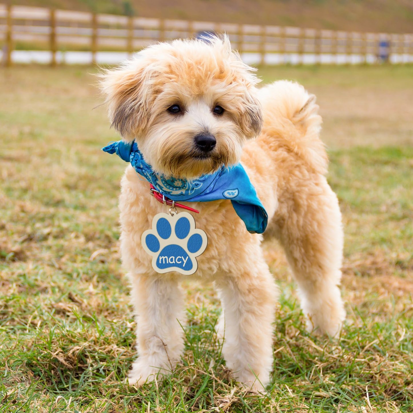 Wooden Dog Paw-Shaped Ornaments to Paint Dog House Decoration Cutouts Unfinished 24PCS, DIY Blank Unfinished Wood Discs Ornament for Pet Theme Party Crafts Hanging Christmas Thanksgiving Decoration