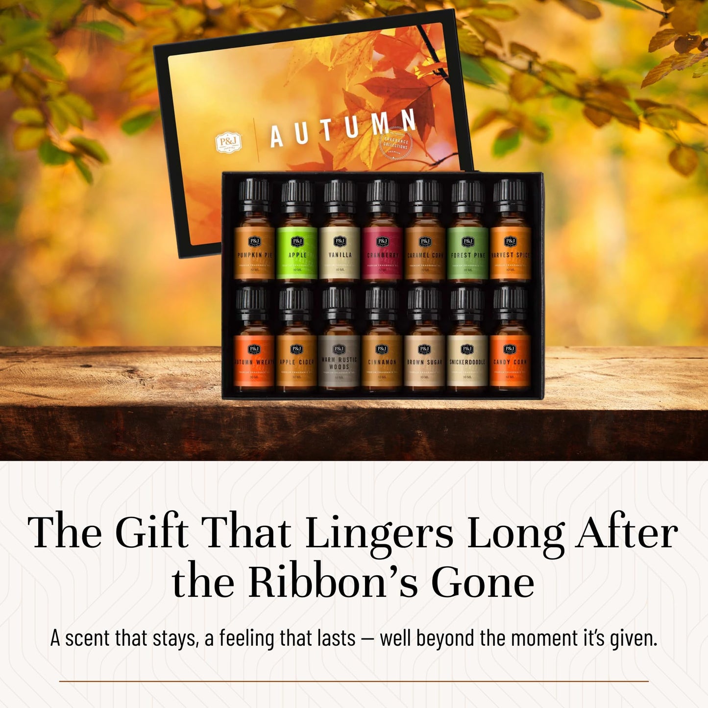 Fragrance Oil Autumn Set of 14 Fragrance Oils for Candle Making, Soap Making, Home Diffuser Oil