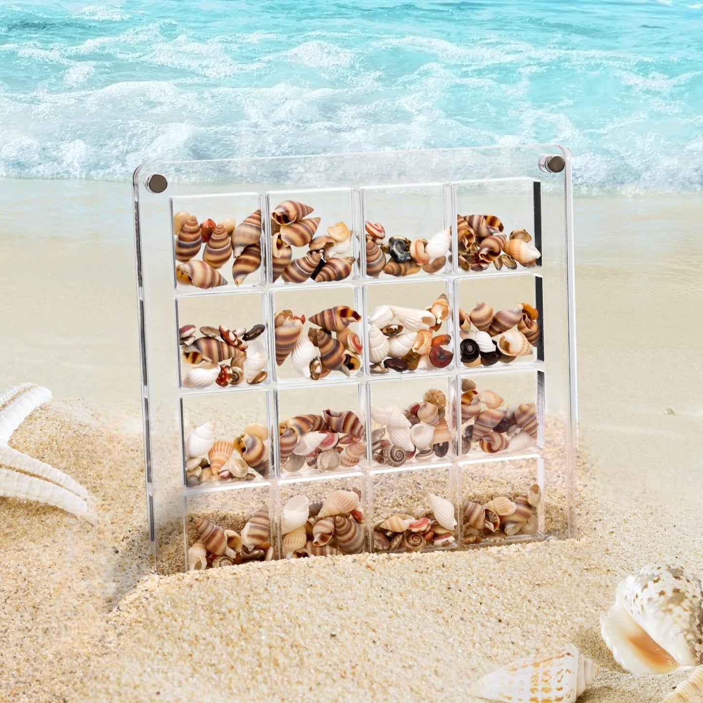 Artlunar 16 Grids Square Clear Acrylic Shadow Boxes Mini Seashell Collection Display Box Shell Display Cases