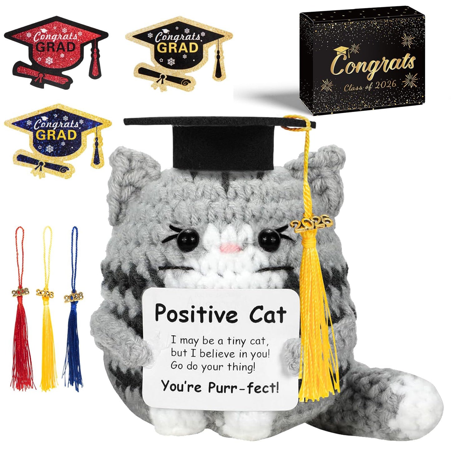 IrichBa Graduation Gifts 2026 for Her Him – DIY Cat Plush with 3 Replaceable Tassels, Graduation Cap & Card - Funny Emotional Support Gift for Class of 2026 High School College Grad