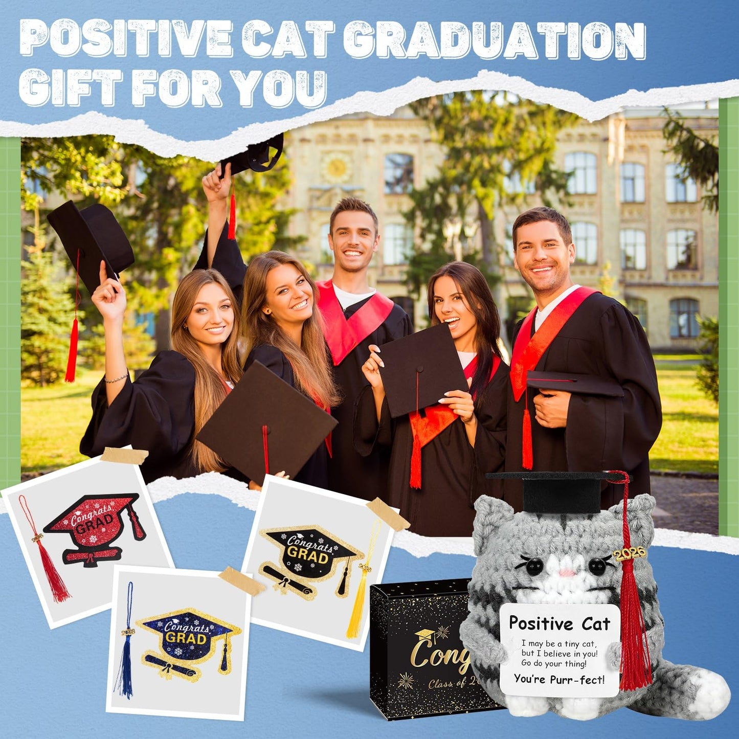 IrichBa Graduation Gifts 2026 for Her Him – DIY Cat Plush with 3 Replaceable Tassels, Graduation Cap & Card - Funny Emotional Support Gift for Class of 2026 High School College Grad