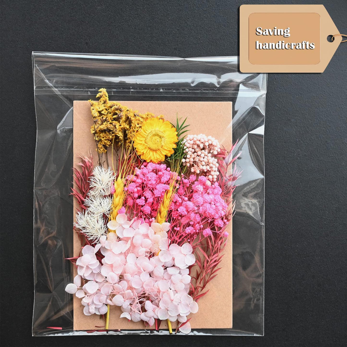 Egofine Self Sealing Cellophane Bags 100 PCS Clear Resealable Sleeves Bags for 8x10 Photo Mats, Bag Size: 8.26x10.3 inches for 8x10 Mats