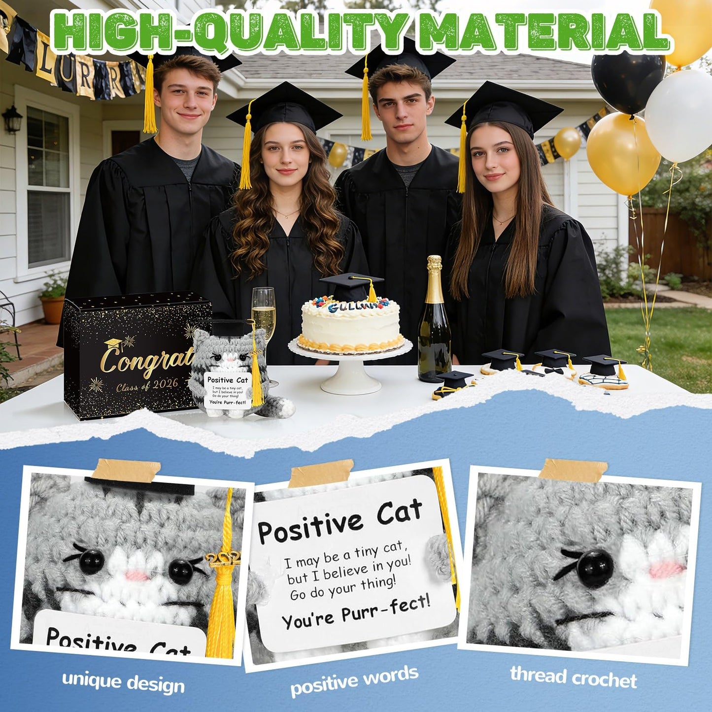 IrichBa Graduation Gifts 2026 for Her Him – DIY Cat Plush with 3 Replaceable Tassels, Graduation Cap & Card - Funny Emotional Support Gift for Class of 2026 High School College Grad