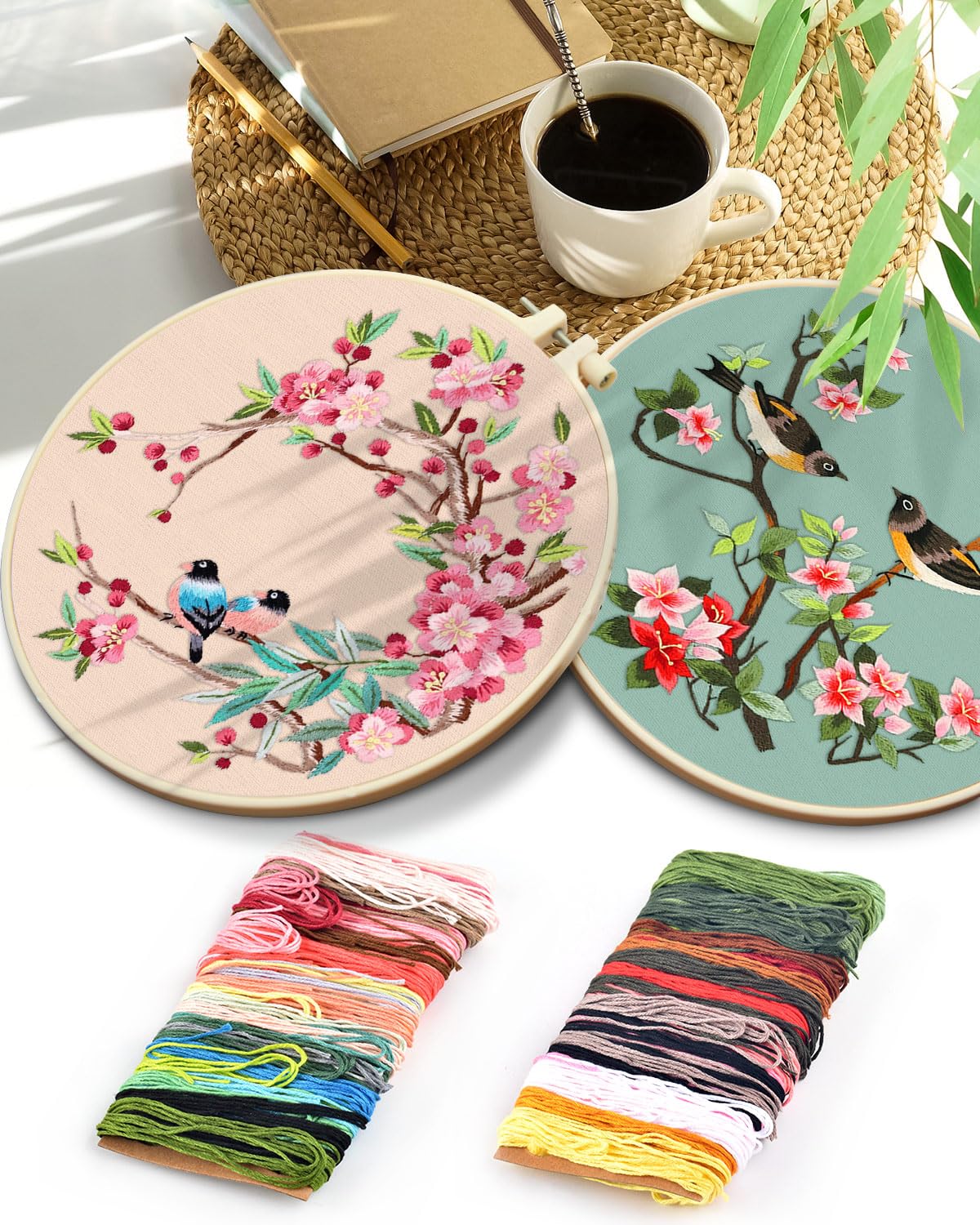 Embroidery Kit for Adult, Owl Embroidery Kit for Beginners Include Embroidery Cloth Hoops Threads for Craft Lover Hand Stitch with Embroidery Skill Techniques (Bird)