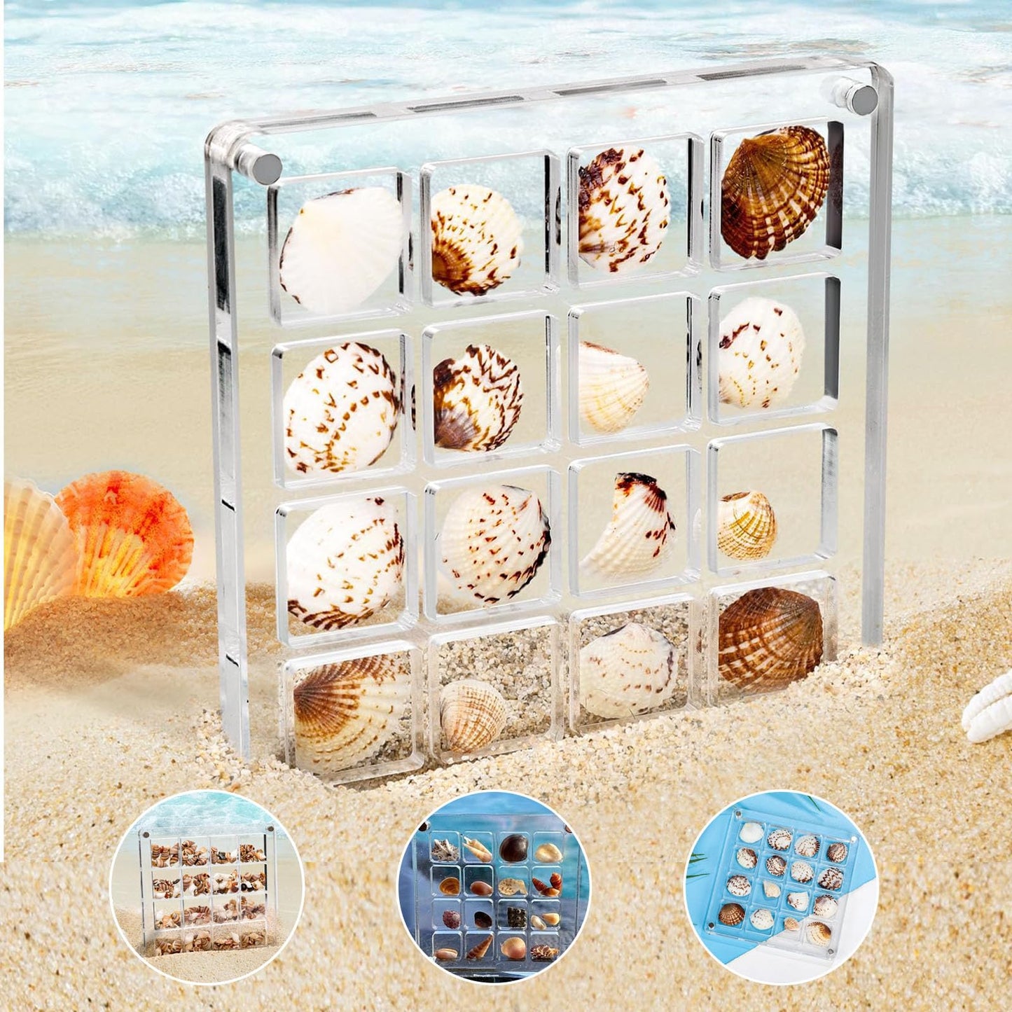 Artlunar 16 Grids Square Clear Acrylic Shadow Boxes Mini Seashell Collection Display Box Shell Display Cases