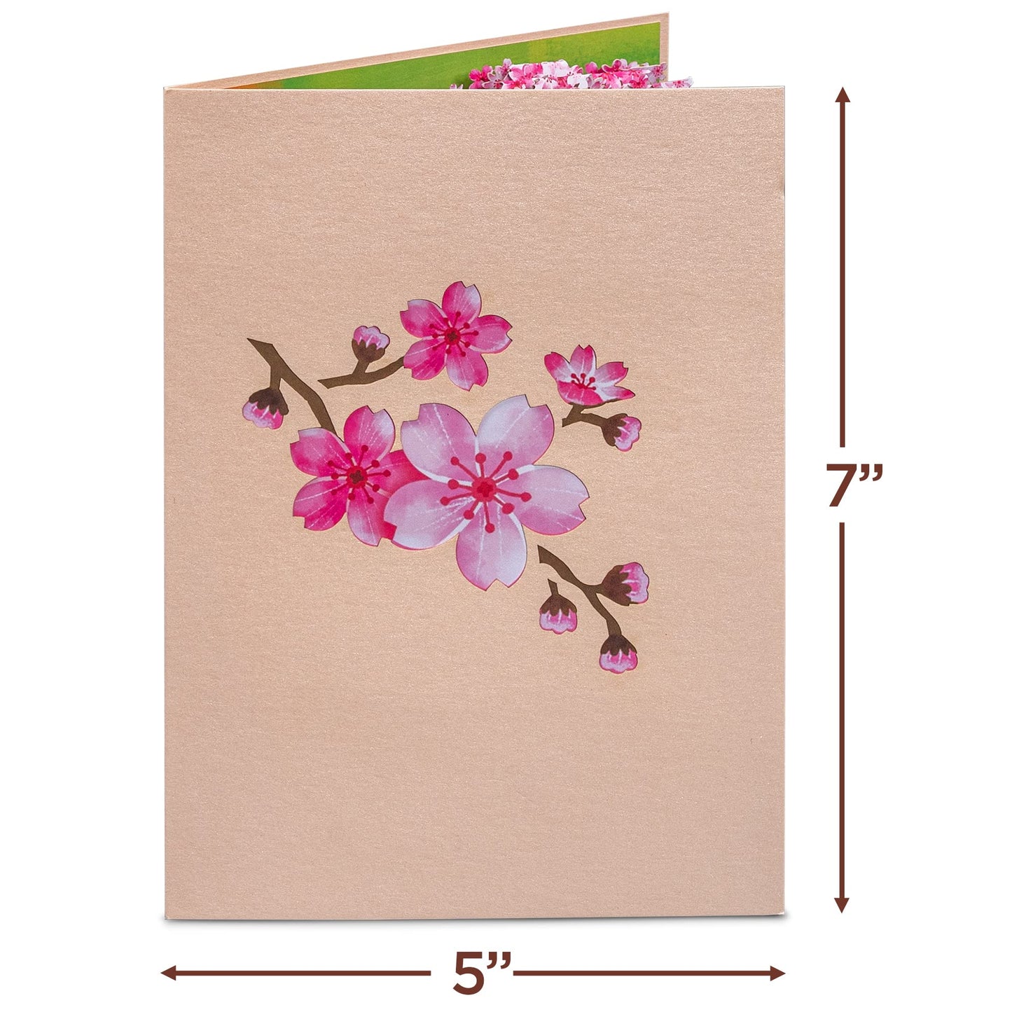 Paper Love Mothers Day Pop Up Card, 3D Cherry Blossom Park, Gift for Mothers Day, Birthday, Wedding, Anniversary, Thank You, Get Well, All Occasion - 5" x 7" Cover - Includes Envelope and Note Tag